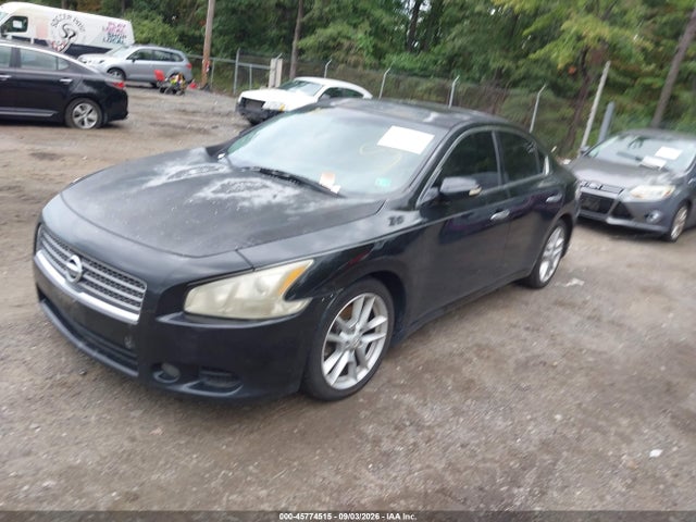 Продажа на аукционе авто 2009 Nissan Maxima 3.5 Sv, vin: 1N4AA51E89C827576, номер лота: 45774515