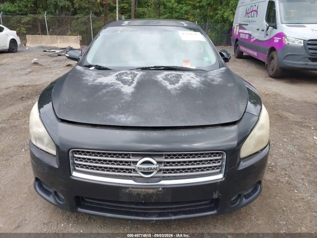 Продажа на аукционе авто 2009 Nissan Maxima 3.5 Sv, vin: 1N4AA51E89C827576, номер лота: 45774515