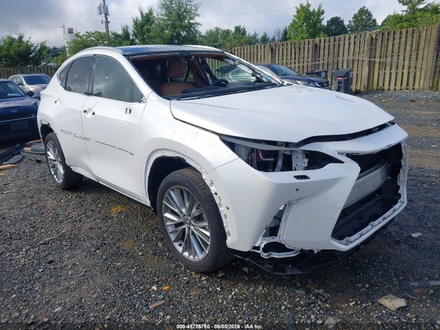 2025 Lexus Nx 350 Luxury მანქანა იყიდება აუქციონზე, vin: 2T2HGCEZ4SC061332, აუქციონის ნომერი: 45775750