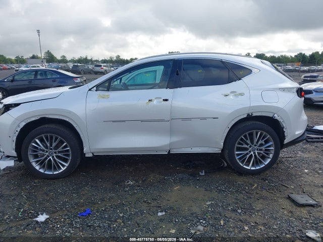2025 Lexus Nx 350 Luxury მანქანა იყიდება აუქციონზე, vin: 2T2HGCEZ4SC061332, აუქციონის ნომერი: 45775750