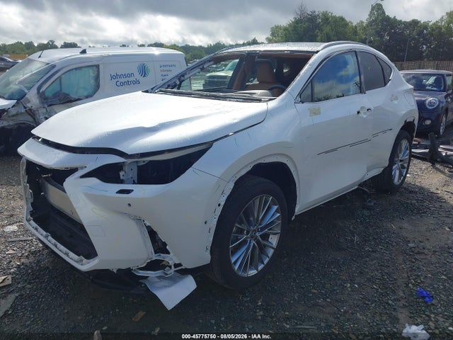 2025 Lexus Nx 350 Luxury მანქანა იყიდება აუქციონზე, vin: 2T2HGCEZ4SC061332, აუქციონის ნომერი: 45775750