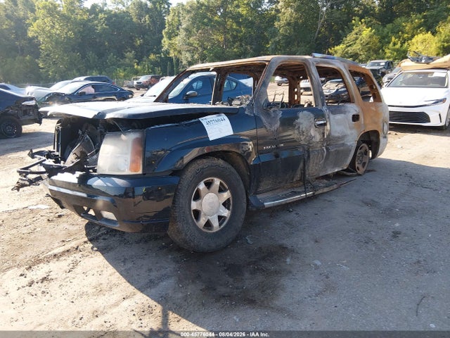 Продажа на аукционе авто 2002 Cadillac Escalade Standard, vin: 1GYEC63T82R202437, номер лота: 45776044