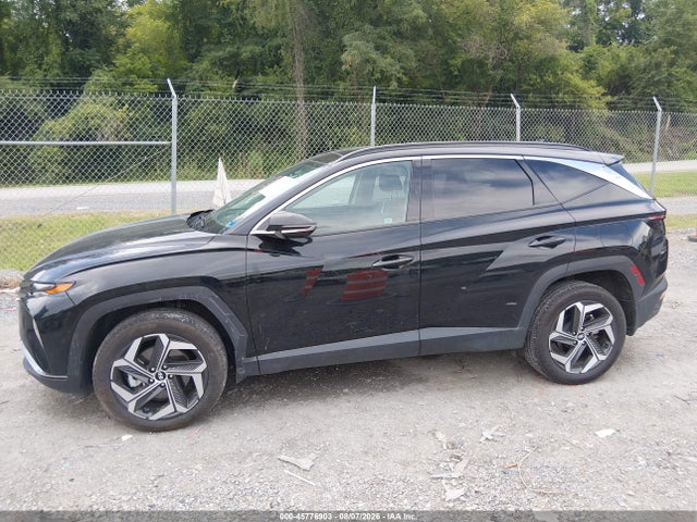 Продажа на аукционе авто 2024 Hyundai Tucson Limited, vin: 5NMJECDE8RH374754, номер лота: 45776903