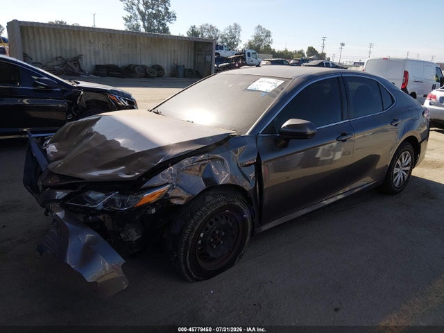 4T1C31AK7LU523213 Toyota Camry Le Hybrid
