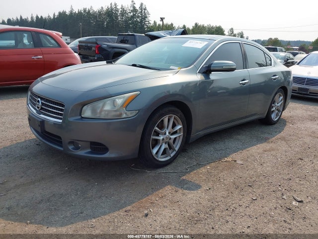45779787 :رقم المزاد ، 1N4AA51E69C832064 vin ، 2009 Nissan Maxima 3.5 Sv مزاد بيع