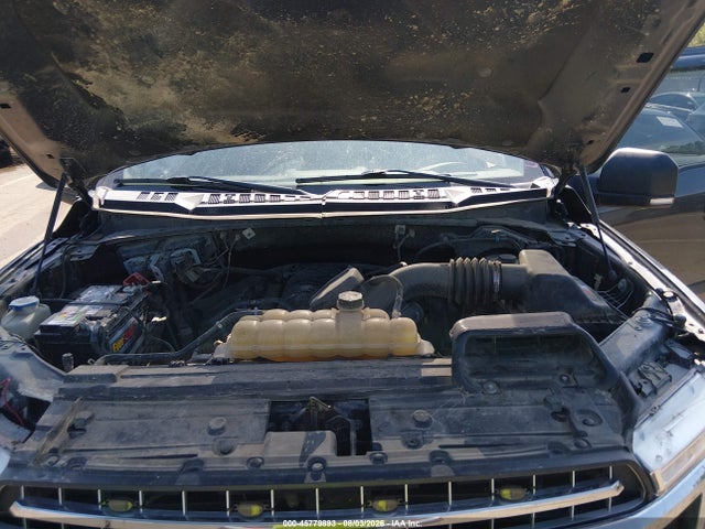 1FTEW1E58KKE73277 Ford F-150 Xlt