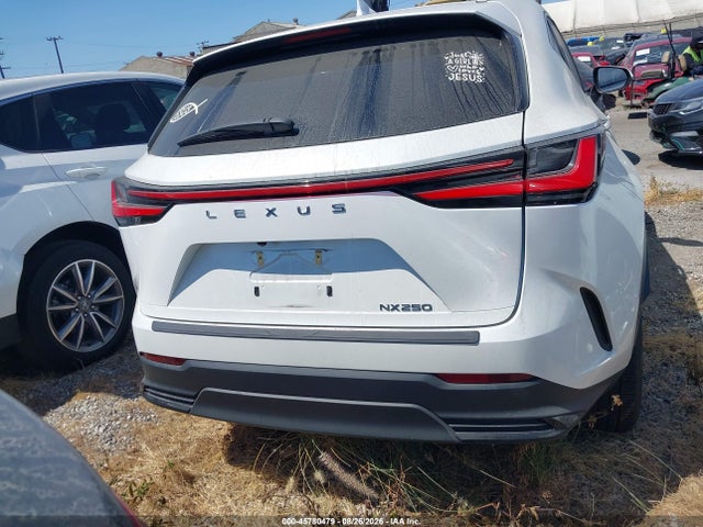 JTJADCAZ4R2011735 Lexus NX 250