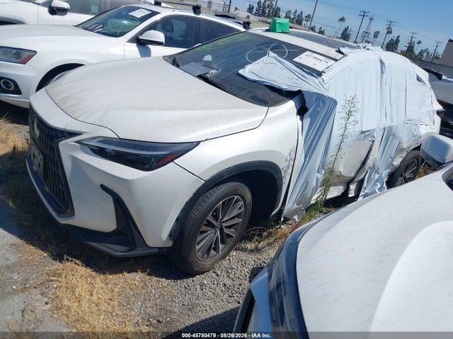 JTJADCAZ4R2011735 Lexus NX 250