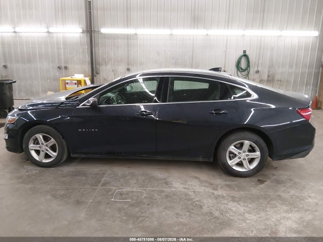45781098 :رقم المزاد ، 1G1ZD5ST1PF202796 vin ، 2023 Chevrolet Malibu Fwd 1lt مزاد بيع
