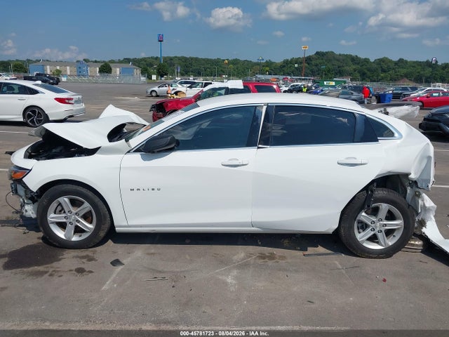 Продаж на аукціоні авто 2019 Chevrolet Malibu 1fl, vin: 1G1ZC5ST3KF105501, номер лоту: 45781723