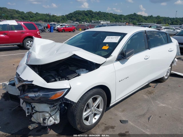 Продаж на аукціоні авто 2019 Chevrolet Malibu 1fl, vin: 1G1ZC5ST3KF105501, номер лоту: 45781723
