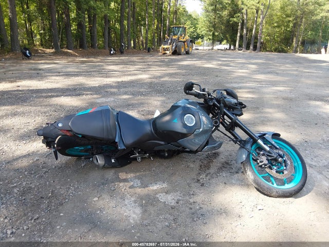 Yamaha Mt-03 2023 MH3RH20Y1PK009288 Image 12