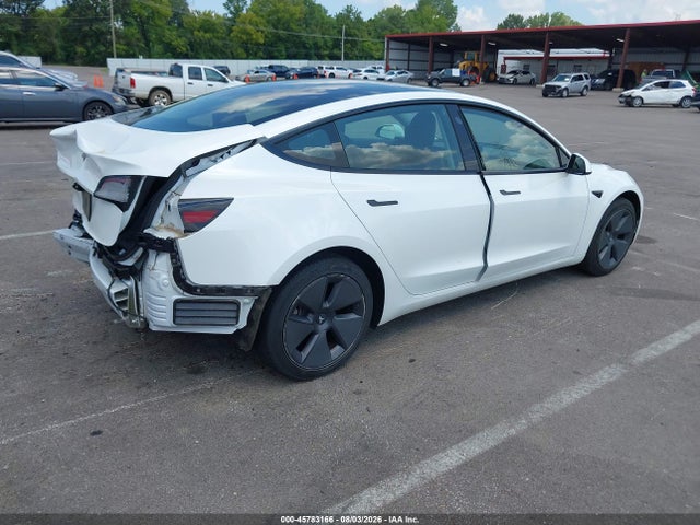 Продажа на аукционе авто 2023 Tesla Model 3 Rear-wheel Drive, vin: 5YJ3E1EA2PF465249, номер лота: 45783166