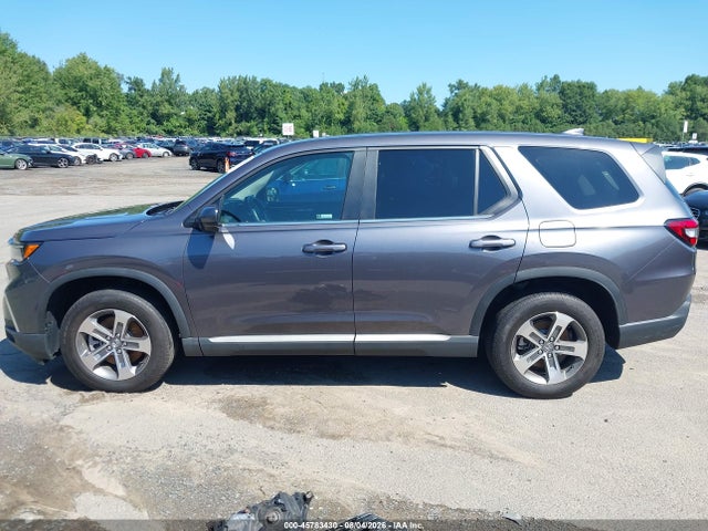 Продажа на аукционе авто 2024 Honda Pilot Ex-l, vin: 5FNYG1H47RB048735, номер лота: 45783430