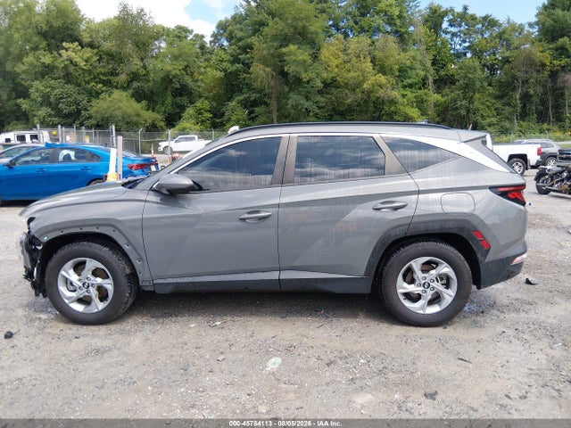 Продаж на аукціоні авто 2024 Hyundai Tucson Sel, vin: 5NMJB3DE1RH346299, номер лоту: 45784113