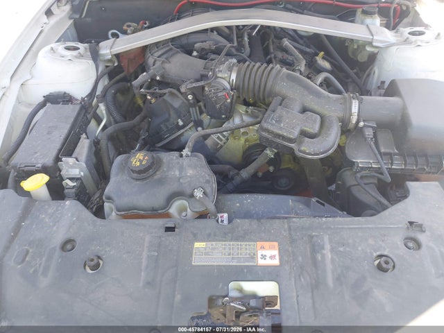 1ZVBP8EM6E5208549 Ford Mustang V6