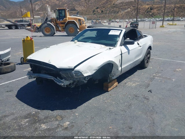 1ZVBP8EM6E5208549 Ford Mustang V6