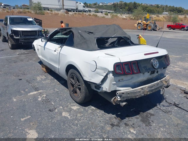 1ZVBP8EM6E5208549 Ford Mustang V6