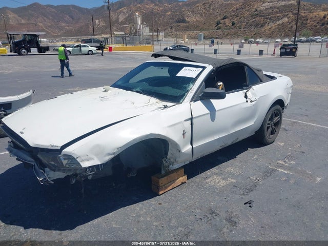 1ZVBP8EM6E5208549 Ford Mustang V6