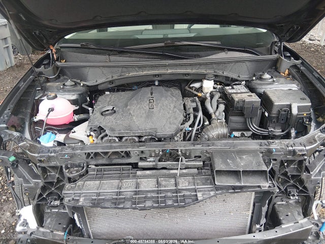 Продажа на аукционе авто 2025 Hyundai Tucson Sel Convenience, vin: 5NMJCCDE7SH584970, номер лота: 45784388