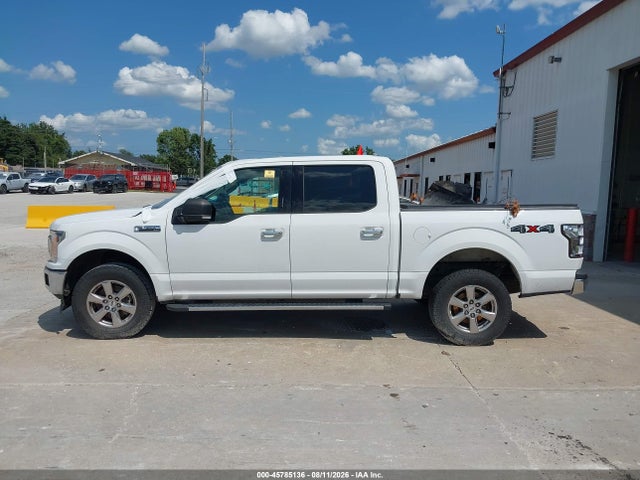 45785136 :رقم المزاد ، 1FTEW1E40KKE14246 vin ، 2019 Ford F-150 Xlt مزاد بيع