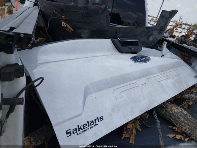 45785136 :رقم المزاد ، 1FTEW1E40KKE14246 vin ، 2019 Ford F-150 Xlt مزاد بيع