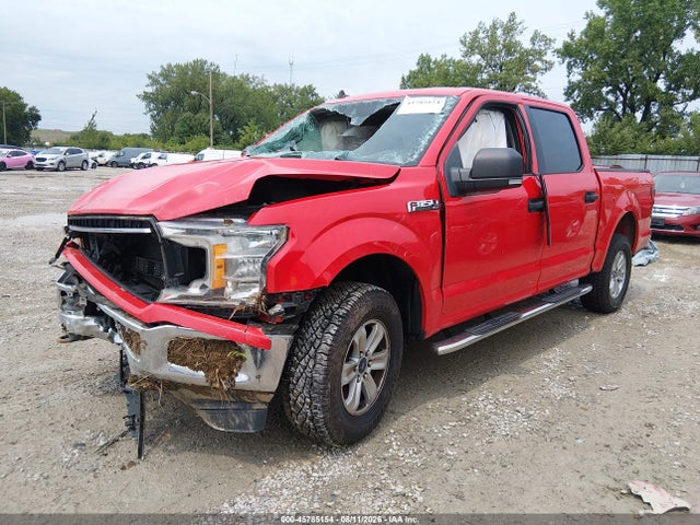 Aukcja sprzedaży 2019 Ford F-150 Xlt, vin: 1FTEW1EB1KFC57639, numer aukcji: 45785154