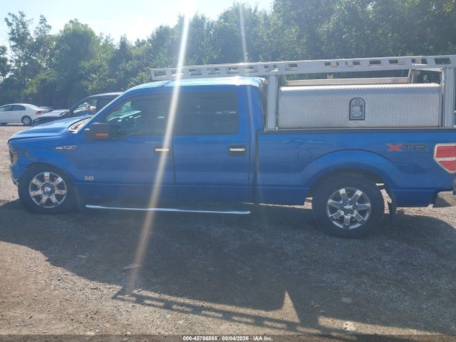 1FTFW1EF3EFA95962 Ford F-150 Xlt