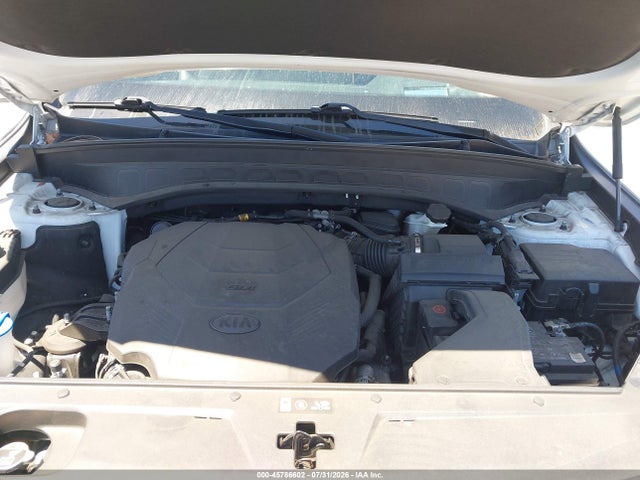 KIA Telluride Sx 2020 5XYP5DHC4LG072002 Image 10