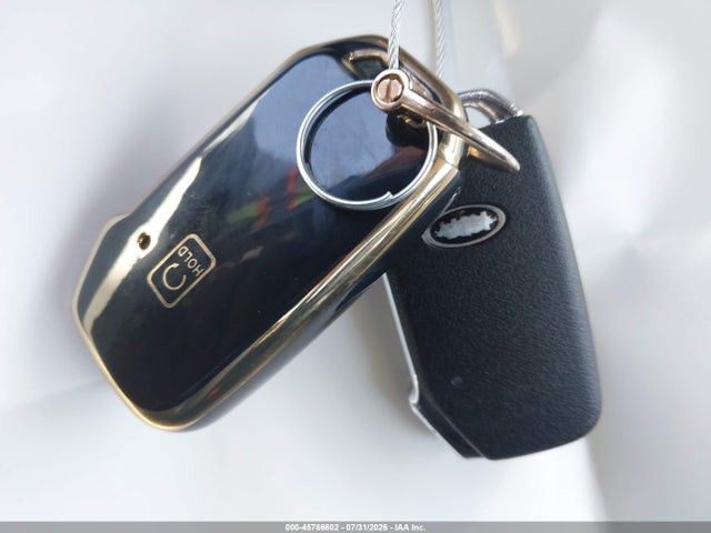 KIA Telluride Sx 2020 5XYP5DHC4LG072002 Image 11