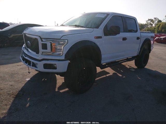 Ford F-150 Xl 2019 1FTEW1EPXKKC31849 Image 2