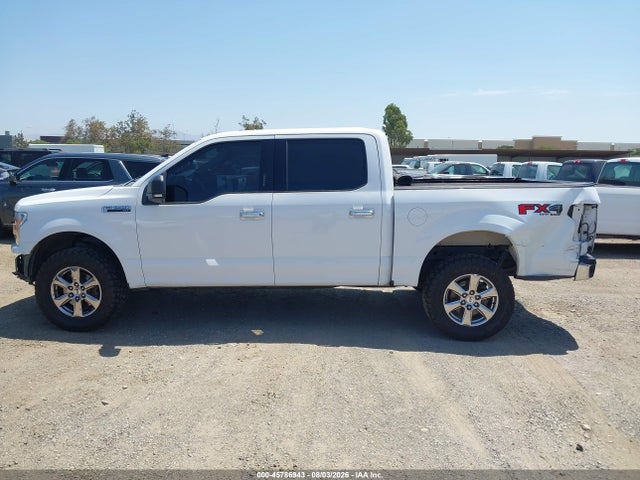 Ford F-150 Xlt 2019 1FTEW1E46KKE50698 Image 14