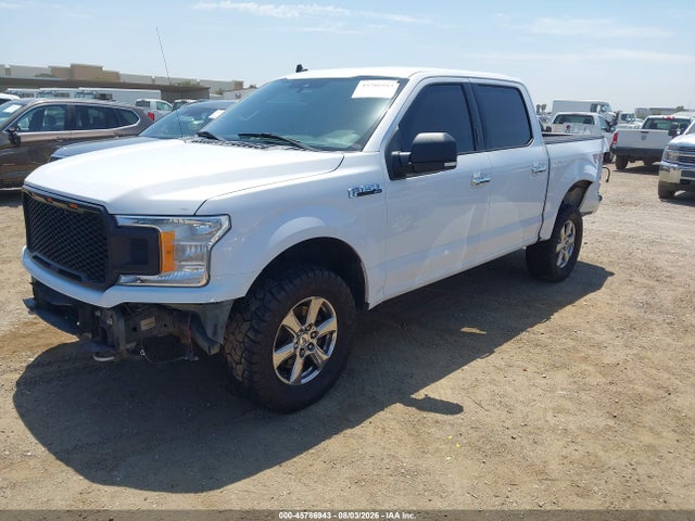 Ford F-150 Xlt 2019 1FTEW1E46KKE50698 Image 2