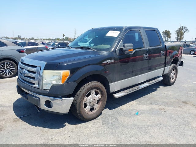 45787701 :رقم المزاد ، 1FTPW12VX9KA73910 vin ، 2009 Ford F-150 King Ranch/lariat/platinum/xl/xlt مزاد بيع