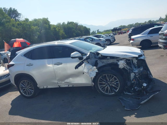 Продажа на аукционе авто 2025 Lexus Nx 350 Premium, vin: JTJGGCEZ6S5010358, номер лота: 45788391