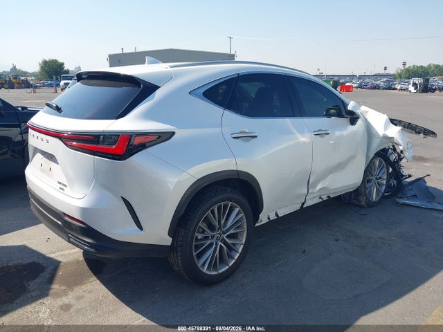 Продажа на аукционе авто 2025 Lexus Nx 350 Premium, vin: JTJGGCEZ6S5010358, номер лота: 45788391