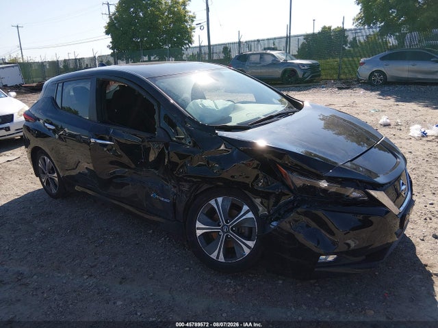 Aukcja sprzedaży 2019 Nissan Leaf Sv, vin: 1N4AZ1CP9KC306100, numer aukcji: 45789572