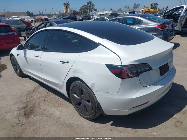 Tesla Model 3 Rear-wheel Drive 2023 5YJ3E1EA3PF517570 Image 3