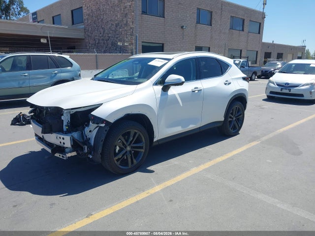 45789907 :رقم المزاد ، JTJHKCFZ0R2025290 vin ، 2024 Lexus Nx 450h+ Luxury مزاد بيع