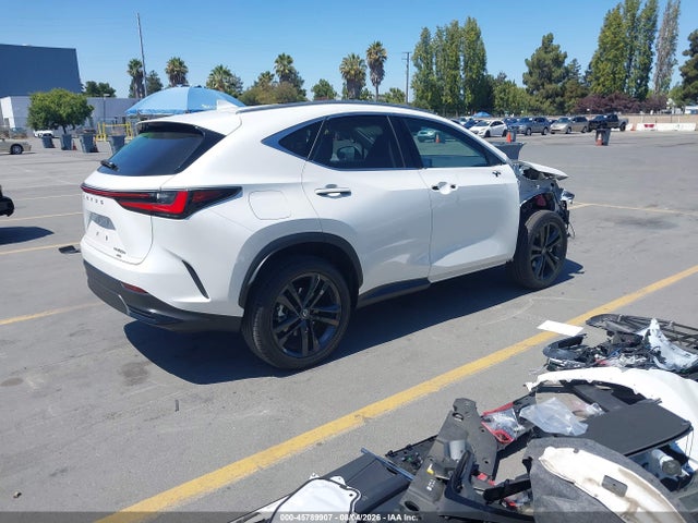 45789907 :رقم المزاد ، JTJHKCFZ0R2025290 vin ، 2024 Lexus Nx 450h+ Luxury مزاد بيع