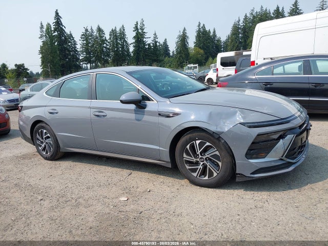 KMHL24JJ1TA175597 Hyundai Sonata Hybrid Blue