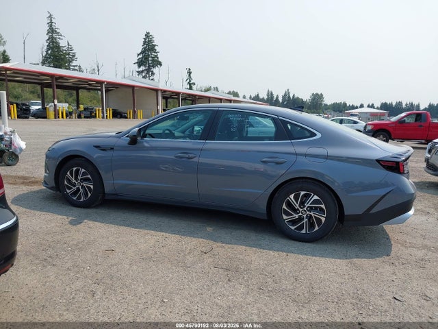 KMHL24JJ1TA175597 Hyundai Sonata Hybrid Blue