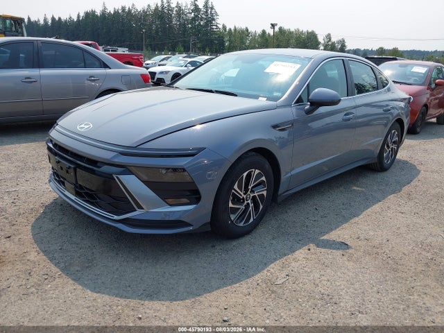 KMHL24JJ1TA175597 Hyundai Sonata Hybrid Blue