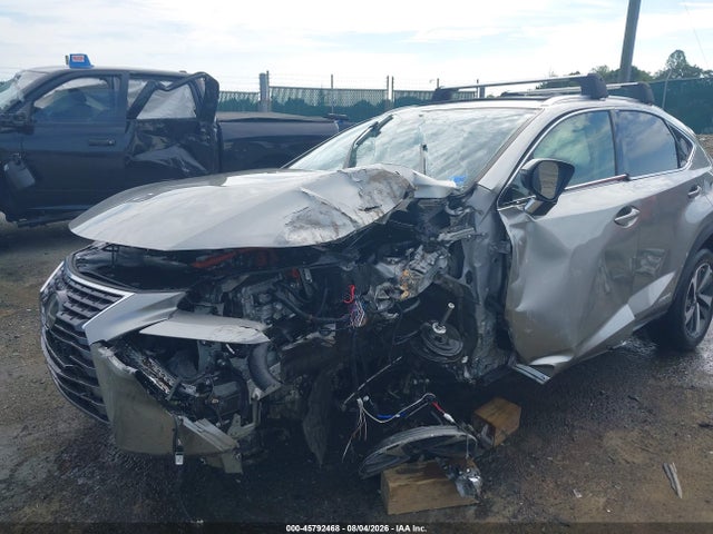 Продажа на аукционе авто 2020 Lexus Nx 300h, vin: JTJGJRDZ8L2140828, номер лота: 45792468