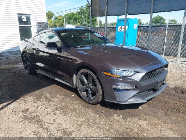 45792578 :رقم المزاد ، 1FA6P8TH9P5101045 vin ، 2023 Ford Mustang Ecoboost Fastback مزاد بيع