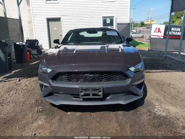 45792578 :رقم المزاد ، 1FA6P8TH9P5101045 vin ، 2023 Ford Mustang Ecoboost Fastback مزاد بيع