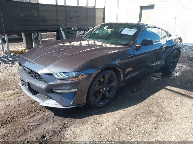 45792578 :رقم المزاد ، 1FA6P8TH9P5101045 vin ، 2023 Ford Mustang Ecoboost Fastback مزاد بيع