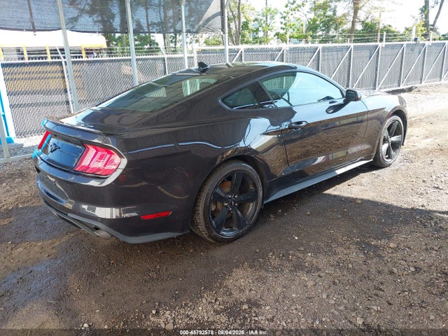 45792578 :رقم المزاد ، 1FA6P8TH9P5101045 vin ، 2023 Ford Mustang Ecoboost Fastback مزاد بيع