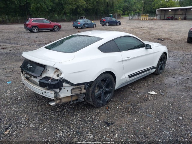 Ford Mustang Ecoboost 2019 1FA6P8TH7K5112280 Image 4