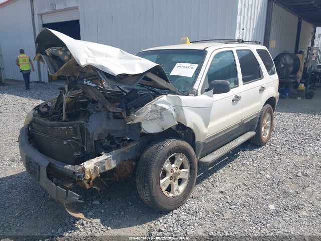 Продаж на аукціоні авто 2007 Ford Escape Xlt/xlt Sport, vin: 1FMYU03197KA82820, номер лоту: 45794576